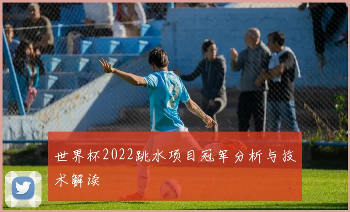 世界杯2022跳水项目冠军分析与技术解读