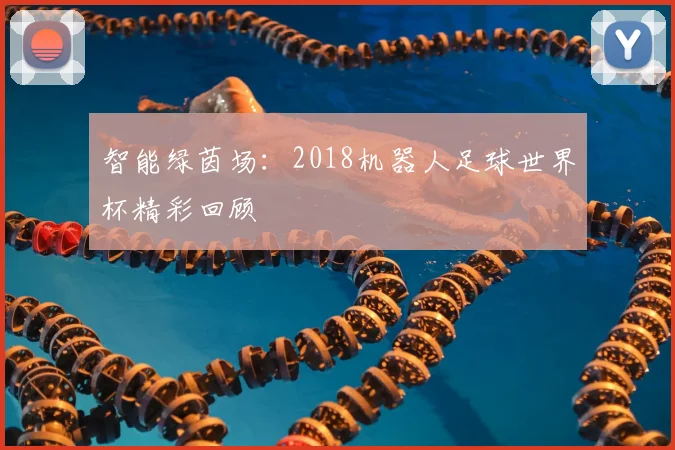 智能绿茵场：2018机器人足球世界杯精彩回顾