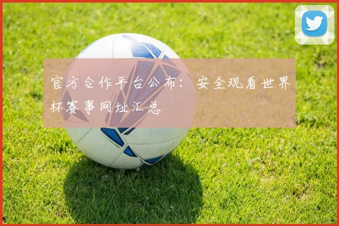 官方合作平台公布：安全观看世界杯赛事网址汇总