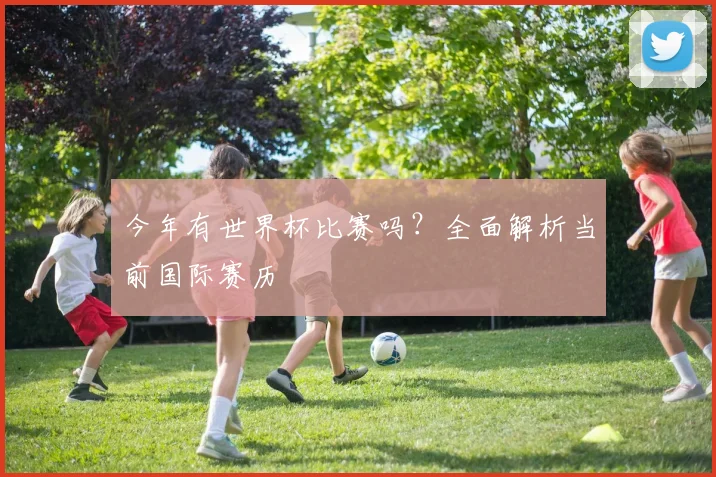 今年有世界杯比赛吗？全面解析当前国际赛历