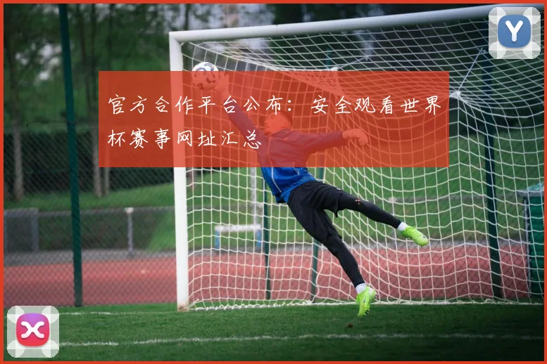 官方合作平台公布：安全观看世界杯赛事网址汇总